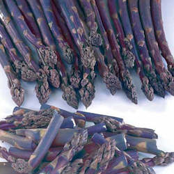 Asparagus Crowns: Pacific Purple