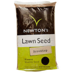 Lawn Seed: NZ Browntop