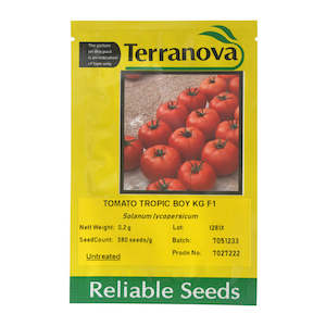 Terranova: Tomato - Tropic Boy
