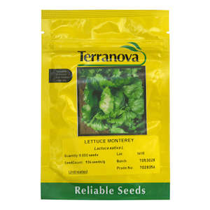 Terranova: Lettuce - Monterey