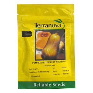 Terranova: Pumpkin butternut - Waltham