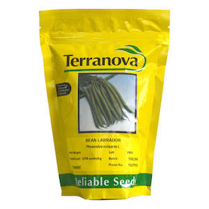 Terranova: Bean - Labrador