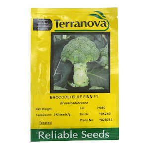 Terranova: Broccoli - Blue Finn