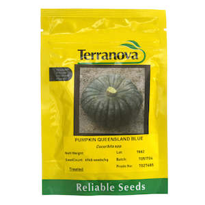 Terranova: Pumpkin - Queensland Blue