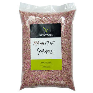Pasture Seed: Prairie Grass