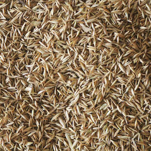 Pasture Seed: Cocksfoot