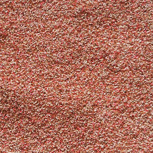 Pasture Seed: Timothy