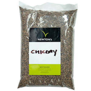Pasture Seed: Chickory