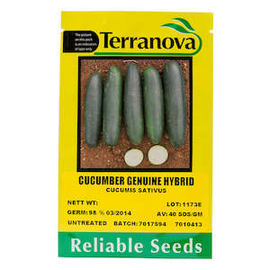 Vege Seeds: Cucumber - Genuine Hybrid