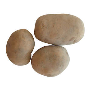 Seed Potatoes: Maris Anchor