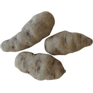 Seed Potatoes: Urenika