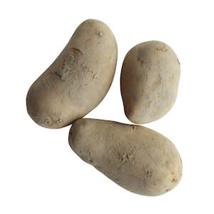 Seed Potatoes: Liseta