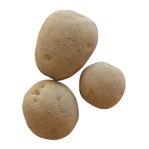 Seed Potatoes: Rocket