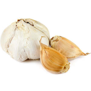 Garlic And Shallots: Elephant Garlic