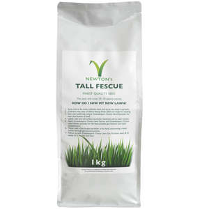 Tall Fescue