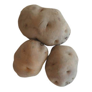 Potato Seeds: Moemoe