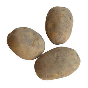 Potato Seeds: Rua