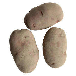 Potato Seeds: Desiree