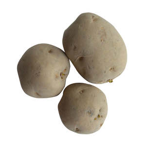 Potato Seeds: Ilam Hardy