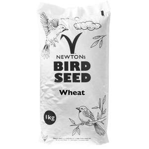Bird Seed: Dressed Wheat