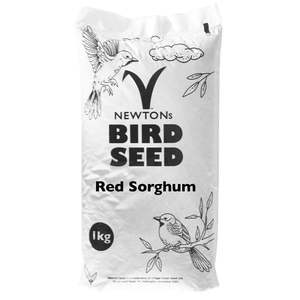 Red Sorghum