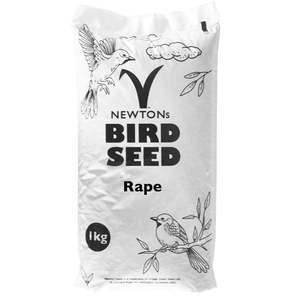 Rape Seed
