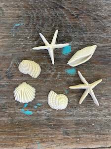 Magnolia Flexible Mouldings: Magnolia Flexible Moulding- Shells