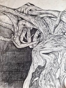 Products: Pohutukawa drawing