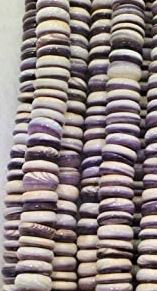 Shell: Wampum Shell Beads - Disc - 10mm - 10 pieces