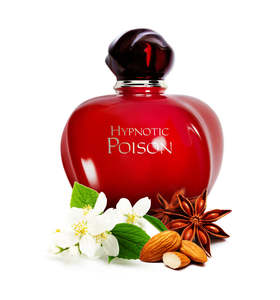 Pick 6 Collection: Hypnotic Poison Type Fragrance Oil