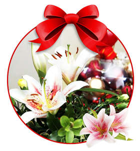 Pick 6 Collection: Christmas Lilies Fragrance Oil