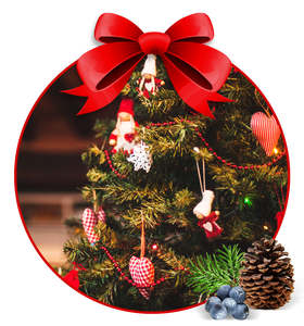 Pick 6 Collection: OH Christmas Tree Fragrance Oil