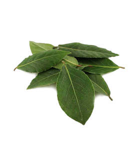 St Patricks Day Sale: Grecian Bay Leaf Single Note Fragrance Oil