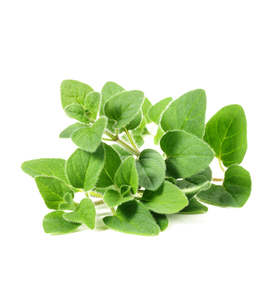 St Patricks Day Sale: Marjoram Essential Oil