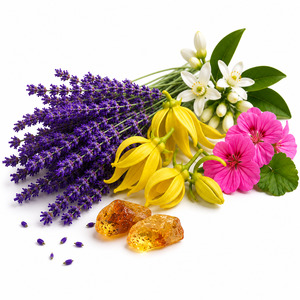 Team: Lavender & Ylang Ylang Fragrance Oil
