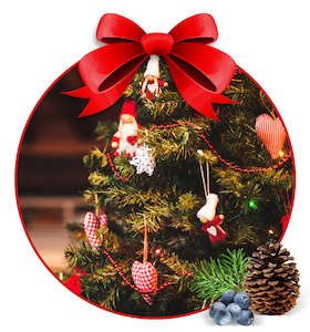 Christmas Ideas: OH Christmas Tree Fragrance Oil