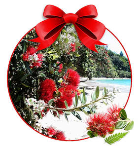 Christmas Ideas: Pohutukawa Fragrance Oil