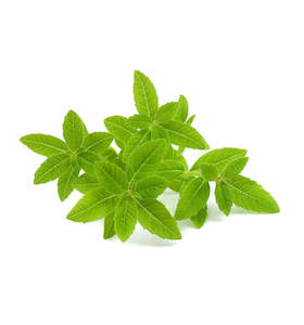 St Patricks Day Sale: Lemon Verbena Fragrance Oil