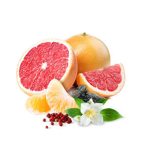 Stocktake Sale: Citrus Sundays Fragrance Oil