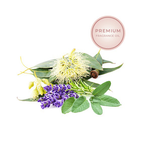 Premium Fragrance Oils: Premium Blue Sage & Eucalyptus Fragrance Oil