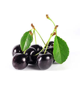 Stocktake Sale: Black Cherry Single Note Fragrance Oil