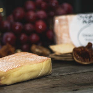 The Softies: Galactic Gold Washed Rind
