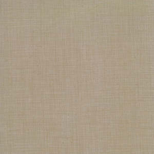 French General Blender - Roche