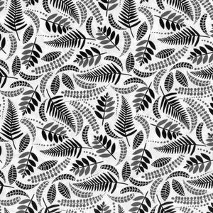 New Zealand Fern Forest - Black & Grey Ferns on White Background