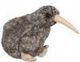 Great spotted kiwi small