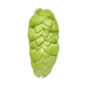 Cones: NZ Pacific Jade™