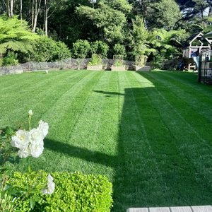 Products: Elfin Tall Fescue Dark Green, Wear-Tolerant Lawn Seed NZLA