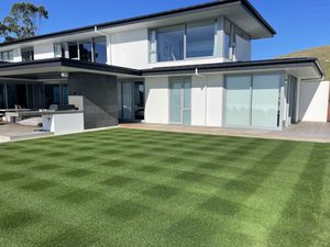 NZLA Ryegrass Fast-Growing, Hard-Wearing Lawn Seed NZ
