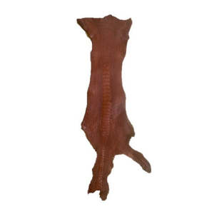 Ostrich Leg | Whisky | 1.5/1.6mm | $60 ea.