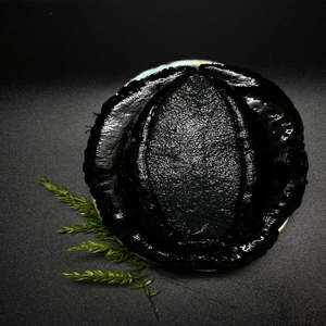 Live Seafood: Live Blackfoot Abalone